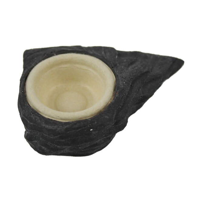 Pangea Small Biodegradable Gecko Cups .5oz - 100 Cups