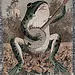 Banjo Frog Blanket