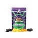 Pangea Gecko Diet with Fig and Insects