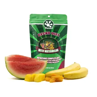 Pangea Gecko Diet with Watermelon