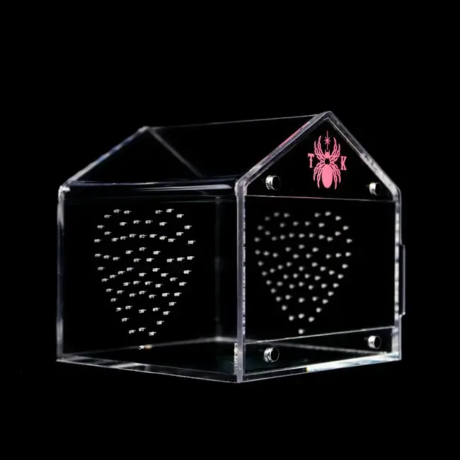 ♡ Canopy Mini 4"x4"x4" Tarantula Cribs Kat Edition