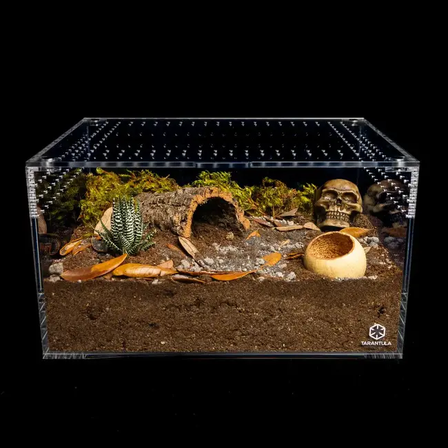 Large Cuboid 14"x 10"x 8" Tarantula Cribs
