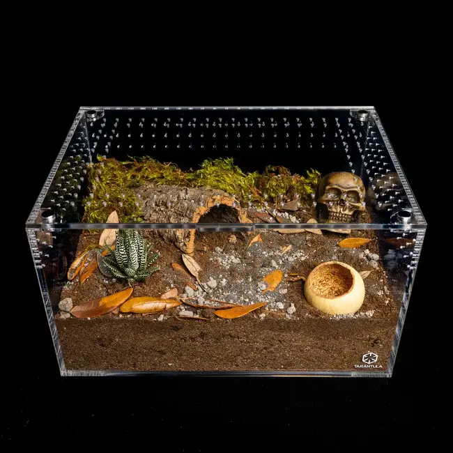 Large Cuboid 14"x 10"x 8" Tarantula Cribs