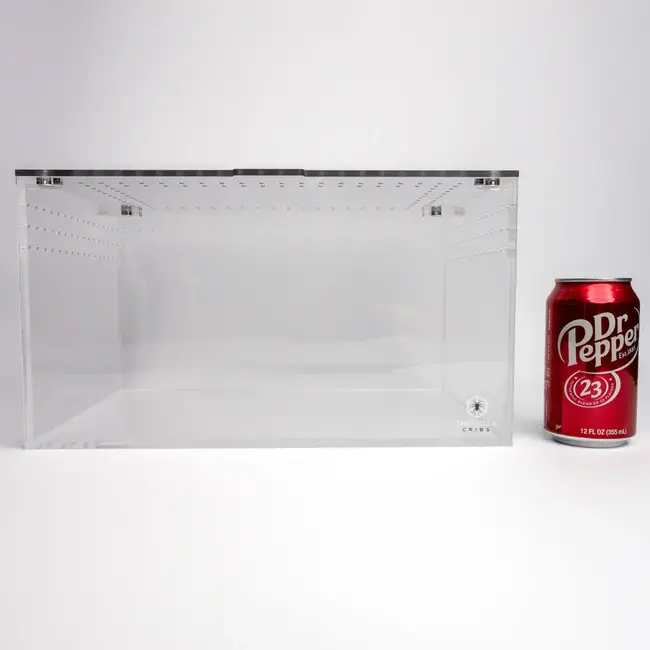 Large Cuboid 14"x 10"x 8" Tarantula Cribs