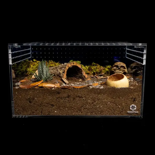 Large Cuboid 14"x 10"x 8" Tarantula Cribs