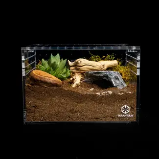 Tarantula Cribs Medium Cuboid 9"x 7"x 6" Tarantula Cribs