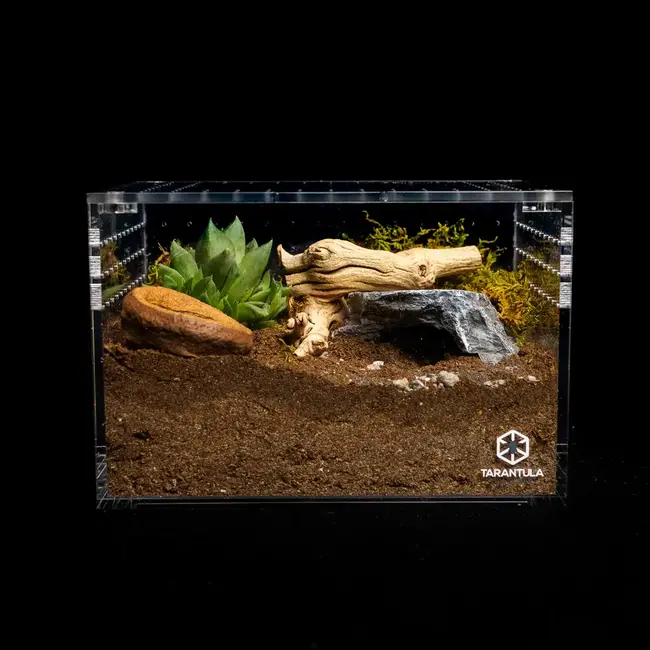 Tarantula Cribs Medium Cuboid 9"x 7"x 6" Tarantula Cribs