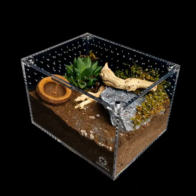 Medium Cuboid 9"x 7"x 6" Tarantula Cribs