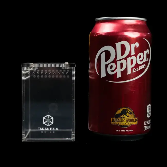 Tarantula Cribs OG Sling Crib 2" x 2" x 3" Tarantula Cribs