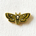 Strike Gently Co Deaths Head Moth Pin (Really Cool Variant)