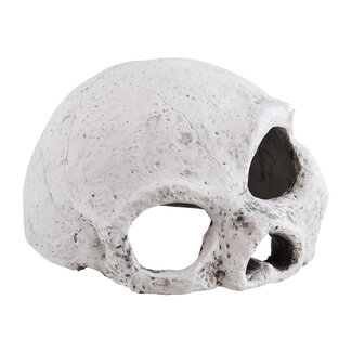 Reptile Treasures RT Ceramic Skull Large