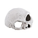 RT Ceramic Skull Medium