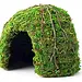 Galapagos Mossy Dome, 6"