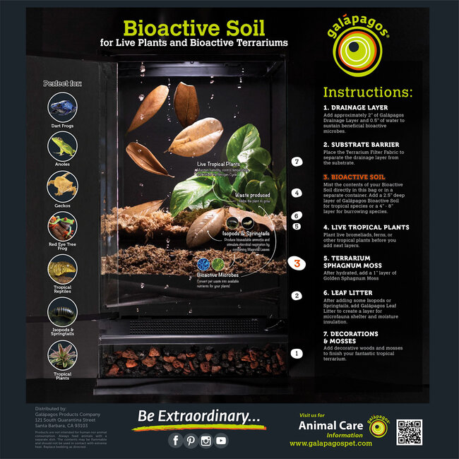 Galapagos Galapagos Magnolia Leaves, 4qt