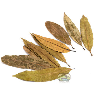 NewCal Mango Leaves 20 Pack