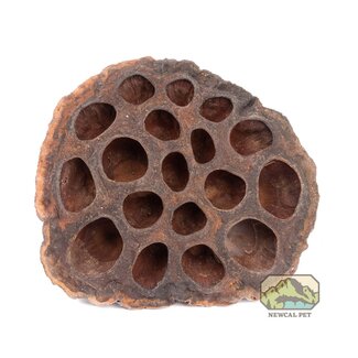 NewCal Lotus Pods 3 Pack