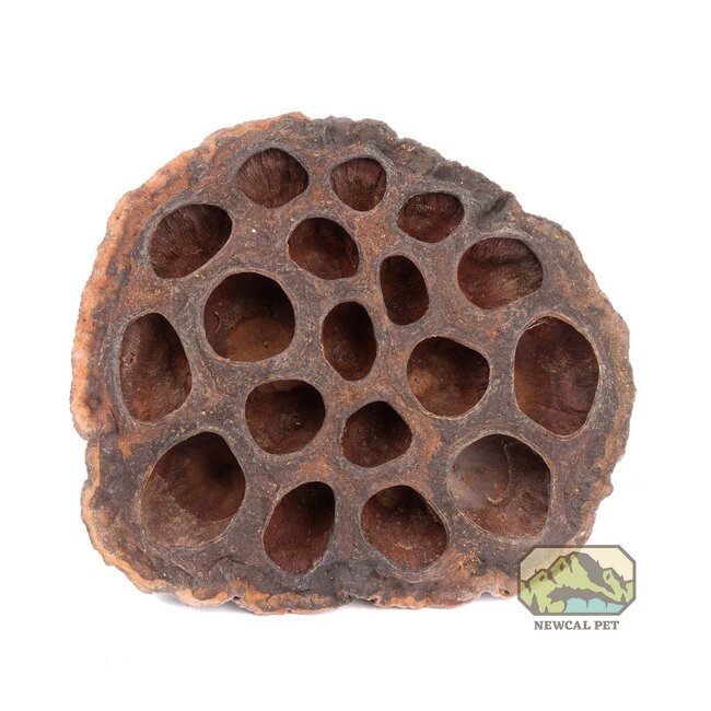 NewCal Lotus Pods 3 Pack