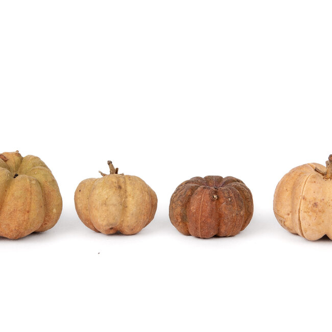NewCal Pumpkin Pods Mini 1 oz