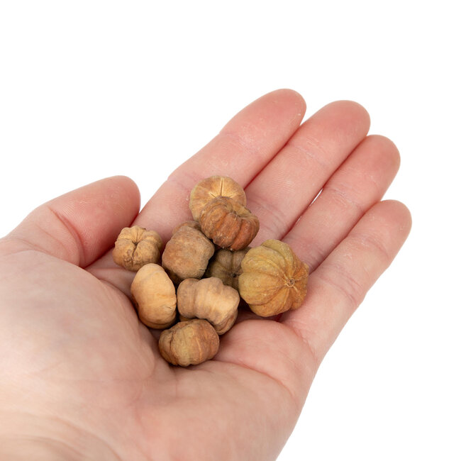 NewCal NewCal Pumpkin Pods Mini 1 oz