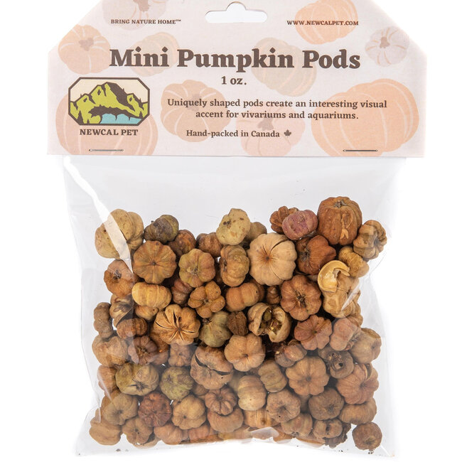 NewCal NewCal Pumpkin Pods Mini 1 oz