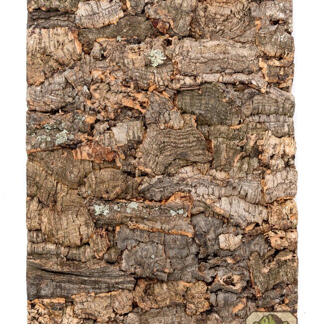 NewCal All-Natural Cork Background 8 x 12