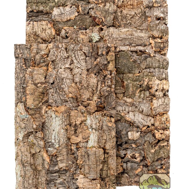 NewCal NewCal All-Natural Cork Background 8 x 12