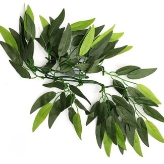 ReptiZoo Plant Hanging Heternanthera zosterifolia (sizes)