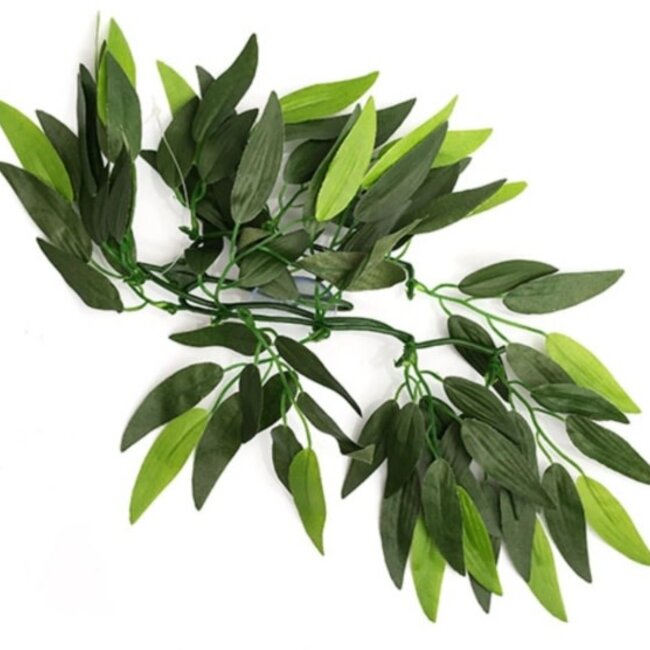ReptiZoo Plant Hanging Heternanthera zosterifolia (sizes)