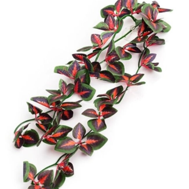 ReptiZoo Hanging Folium Perillae Leaves (sizes)