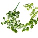 ReptiZoo Begonia Leaves Vine 36"