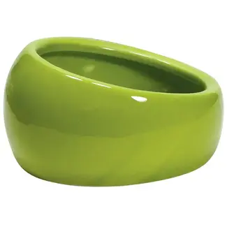 Slanted Worm or Water Dish Large Green 420 mL