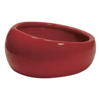 Slanted Worm or Water Dish Large Terracotta 420 mL