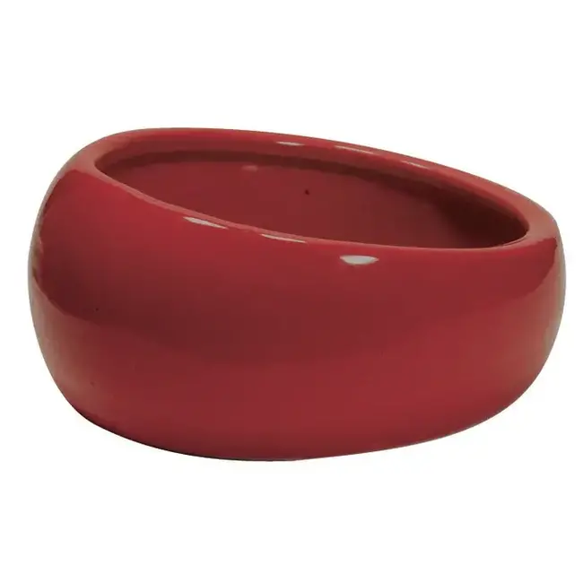 Slanted Worm or Water Dish Large Terracotta 420 mL