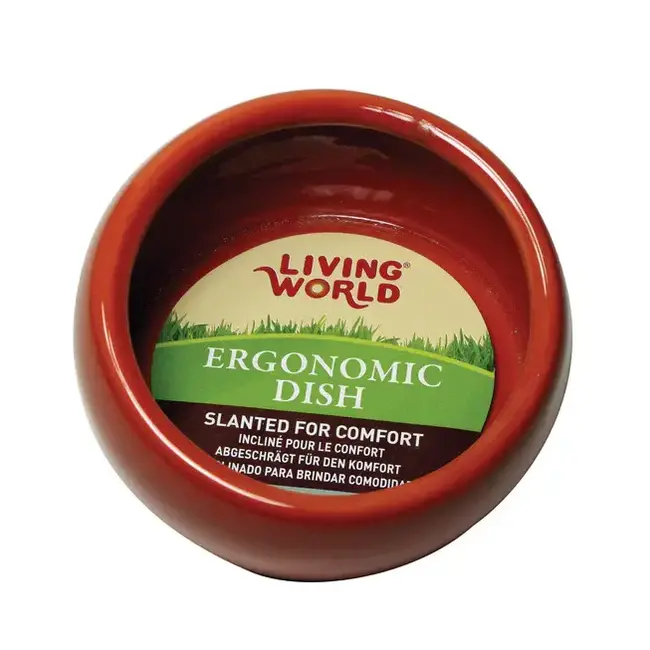 Living World Slanted Worm or Water Dish Large Terracotta 420 mL