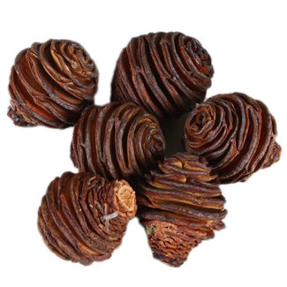 Honey Pot Cone 1 Pack