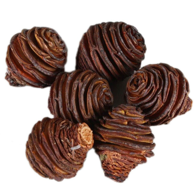 Honey Pot Cone 1 Pack