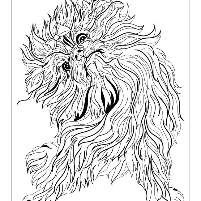 Chellie Carroll Flower Power Pooches: A Coloring Book of Groovy Dogs and Puppies