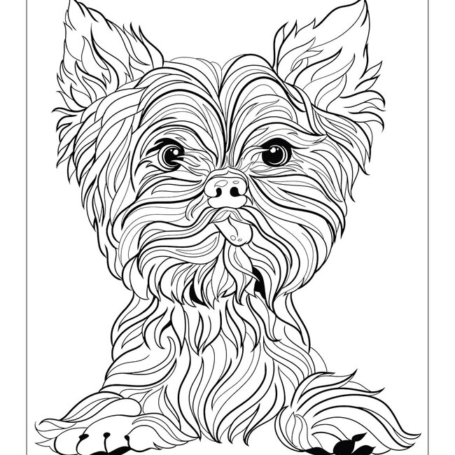 Chellie Carroll Flower Power Pooches: A Coloring Book of Groovy Dogs and Puppies