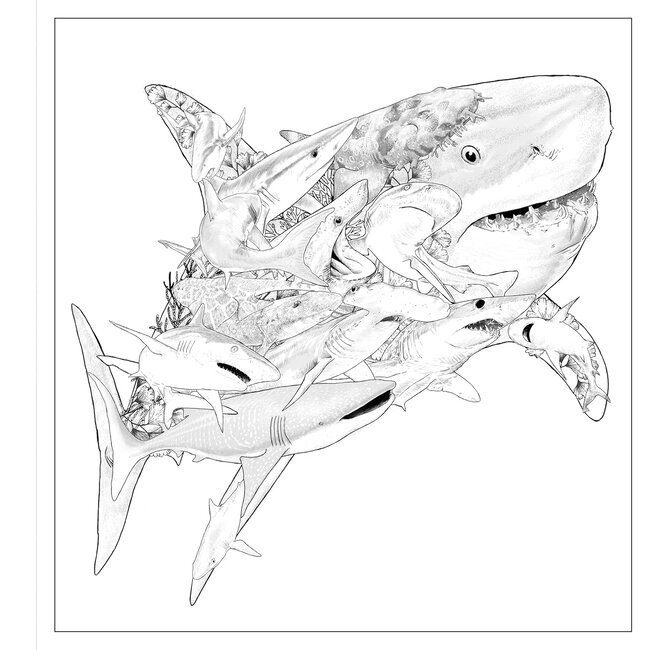 Simon Mendez Imaginaria: In the Deep: An Artist’s Coloring Book of Ocean Mysteries Inside the Lines