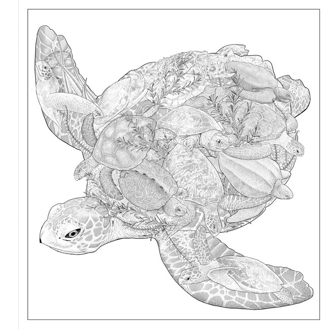 Imaginaria: In the Deep: An Artist’s Coloring Book of Ocean Mysteries Inside the Lines