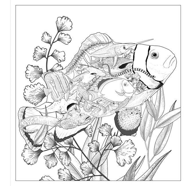 Imaginaria: In the Deep: An Artist’s Coloring Book of Ocean Mysteries Inside the Lines