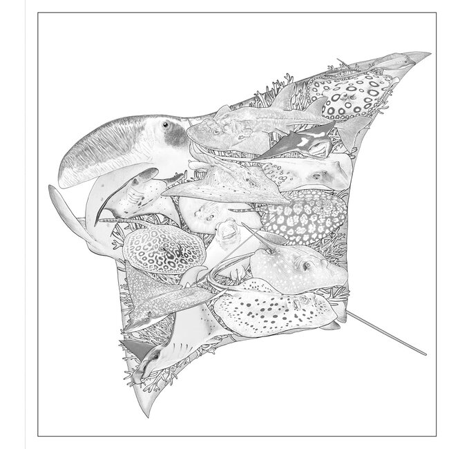 Simon Mendez Imaginaria: In the Deep: An Artist’s Coloring Book of Ocean Mysteries Inside the Lines