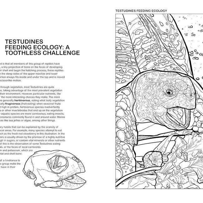 Collins Reference The Reptiles Coloring Book: A Coloring Book