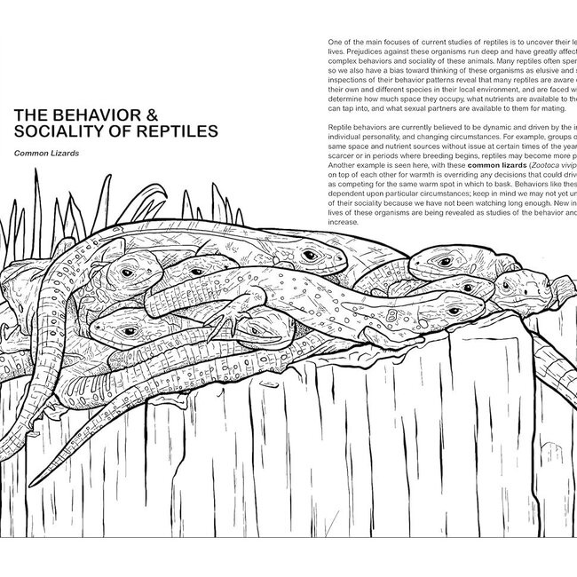 Collins Reference The Reptiles Coloring Book: A Coloring Book