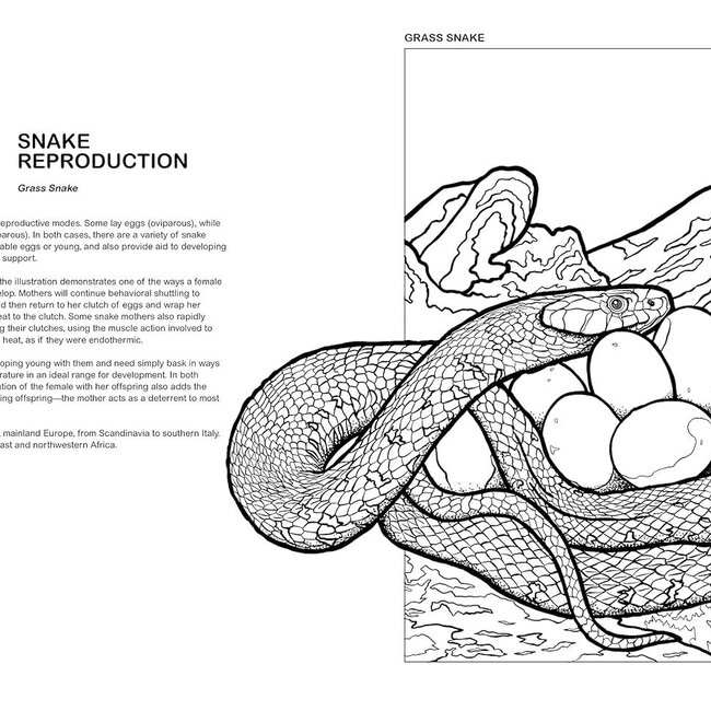 Collins Reference The Reptiles Coloring Book: A Coloring Book