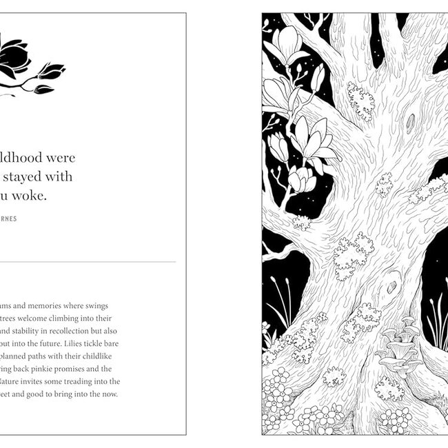 Floriographic: Secret Garden: An Artist’s Coloring Book of the Hidden Language of Flowers