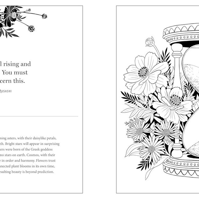Floriographic: Secret Garden: An Artist’s Coloring Book of the Hidden Language of Flowers