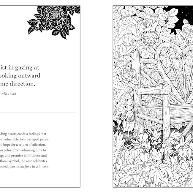 Floriographic: Secret Garden: An Artist’s Coloring Book of the Hidden Language of Flowers