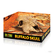 Exo Terra Exo Terra Buffalo Skull