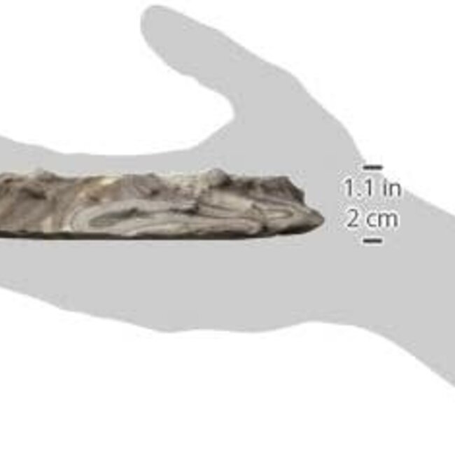 Flukers Fluker's Repta Bowl - X Small